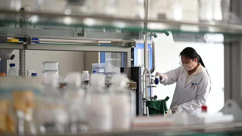 兽药GMP认证：价格透明背后的价值与考量**