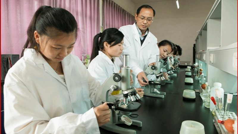 GMP认证，制药企业必知的文件资料清单