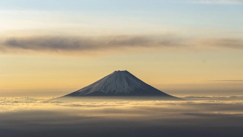 小标题：一、药店选址的重要性