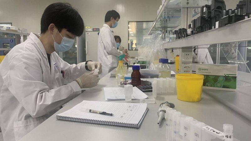 中药粉用空心胶囊：揭秘其应用与选择要点