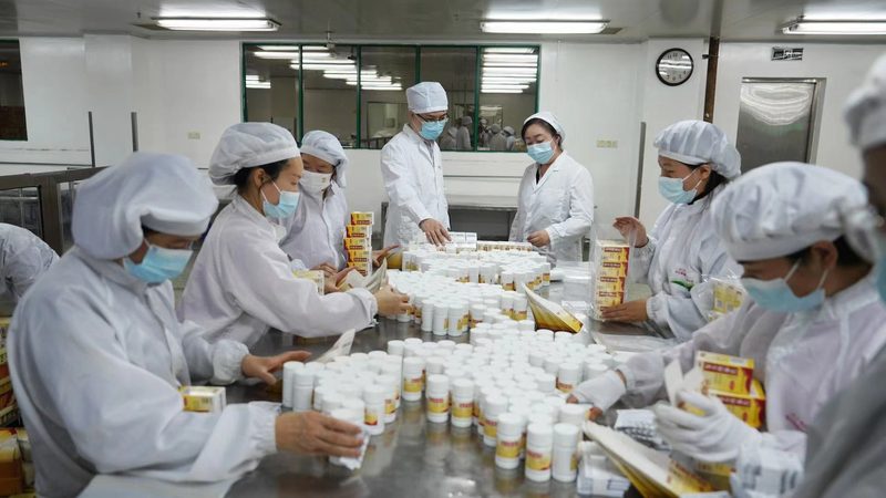原料药注册申报：流程解析与费用概览